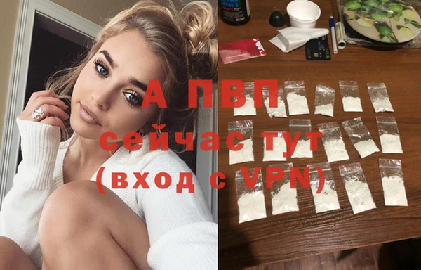 индика Бронницы