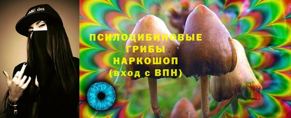 индика Бронницы